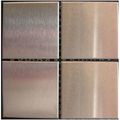 Stainless Steel Brushed Tile 2"