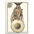 CHRIS ACHILLEOS ' GOLD STAMPED ' card # 49 BOAD...