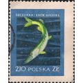 POLAND, FISH, Pike, blue 1958, 80 Gr