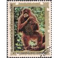 EQUITORIAL GUINEA, MAMMALS, Orangutan, gold 197...