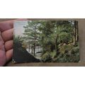 1909 fr Postcard - Angley Wood, Cranbrook - Nr ...