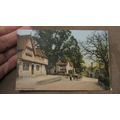 1906 fr Postcard - Horse & Trap @ Penshurst Pla...
