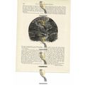 Burbage Brook, Derbyshire, Book Illustration (P...