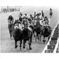 Horse Racing Press Photo - GOLDEN LOVE Newbury ...