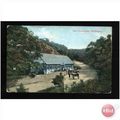Shropshire WELLINGTON Forest Glen Postcard by V...