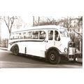 Black & White Photograph of Edward's Coaches of...