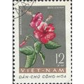 VIETNAM, FLOWER, Hibsicus, rosa Sinensis, grey 1962, 12xu