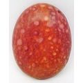 Petrified Wood Freeform Gemstone Cabochon 20