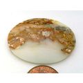 Blue Onyx Freeform Gemstone Cabochon 302