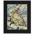 Little Owl Mounted Bird Picture Print Black Mou...