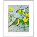 Willow Warbler and Chiffchaff Mounted Bird Pict...