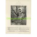 For Ever, Illustrated Poetry, Book Illustration...