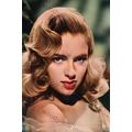 bc0017 - Film Actress - Diana Dors - print 6"x4"