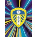 Futera's Leeds Utd 2000 Fans' Selection: The Em...
