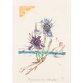 Salvador Dalí Florals Surrealist Flowers 1972 P...