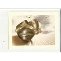 AQUARIAN DAWN (Hag/Hand) Athena Postcard (650167)
