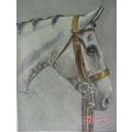 WARREN T HALPIN 1935 white horse bridle Arabain...