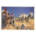 FARMERS AND DONKEYS , ISLAS CANARIA, SPAIN unus...