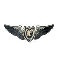 Iron On Patch Eagle Head & Wings 25 cm x 9 cm M...