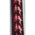 AEROSMITH. Pk MTP - A027a. 1 STRIP OF 5 - 35MM ...