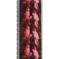 AEROSMITH. Pk MTP - A043q. 1 STRIP OF 5 - 35MM ...