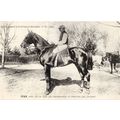 Ivan La France Chevaline Race Horse Antique 190...