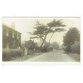 Sussex postcard Stapleford Road Handcross