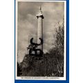 Rp Postcard Marquess Of Angleseys Column Llanfa...