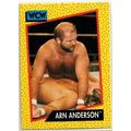 WCW ' ARN ANDERSON ' card # 52 (1991)