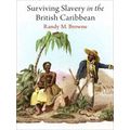 Surviving Slavery The British Caribbean