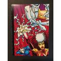 The Savage Dragon trading card #13, excellent c...