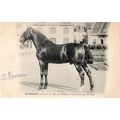 Harley La France Chevaline Race 1885 Horse Sign...