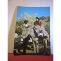 DONKEY, ALGARVE, PORTUGAL unused postcard =