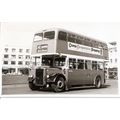Black & White Photograph of Plymouth Corporatio...