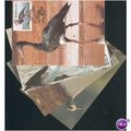 Venda SHS FDI PC's 1987 - Venda Waterfowl