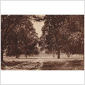 Admiral Park, Chelmsford, Essex Postcard Ex5846