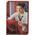 Merlin's Spider-Man (2002) Sticker Collection -...