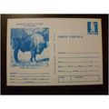 Romania 1977 Protected Animals Bison Post Card ...