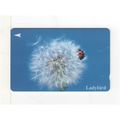 PHONE CARD - SINGAPORE - LADYBIRD