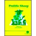 Prolific Sheep