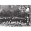 Goose Girl Lassoo Walking The Dog Geese With Bi...