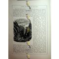 Valley In The Engadine, Switzerland, Book Illus...