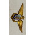 Vintage WWII FEE FRENCH AIR FORCE BADGE