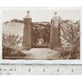vintage postcard Pergola from Kitchen Gardens S...