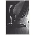 Double Bass Cello Patrick Suskind 1980s German ...