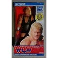 wcw wwf ljn hasbro galoob wrestling superstars ...
