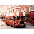 Colour Photograph of Western Welsh Omnibus Co. ...