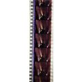 VAMPIRES. Pk MTP - b038l . 1 STRIP OF 5 - 35MM ...