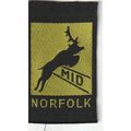 Scout Badge UK - Mid Norfolk - Ribbon (BY15)