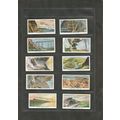 Original Churchman Cigarette Cards Full Set of ...